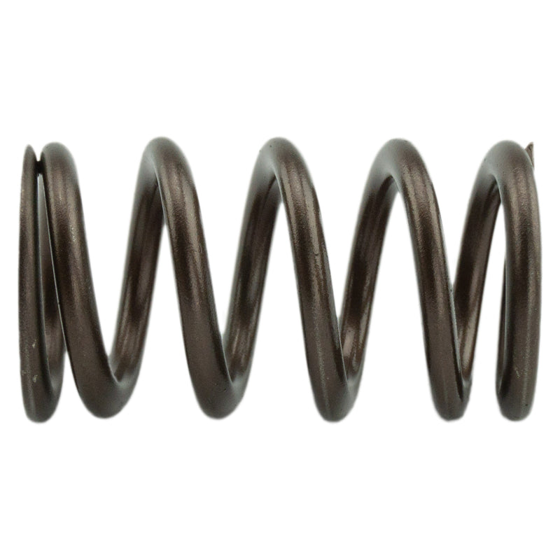 Industrial Injection Industrial Injection 95LB Upgraded Valve Springs - 1998.5-2024 24V Cummins PDM-160-1484S-24 | PDM-160-1484S-24