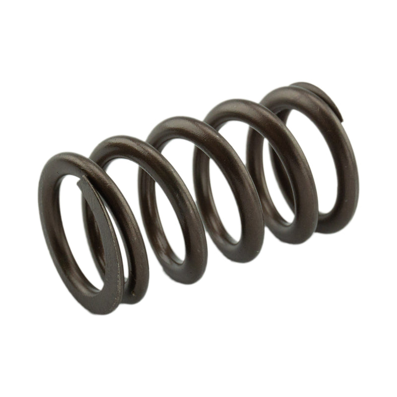 Industrial Injection Industrial Injection 95LB Upgraded Valve Springs - 1998.5-2024 24V Cummins PDM-160-1484S-24 | PDM-160-1484S-24